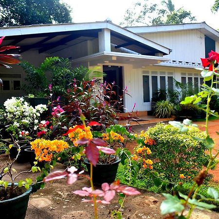 Molino Tourist Rest Anuradhapura Hotel Ngoại thất bức ảnh